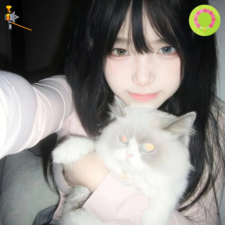 胡先生